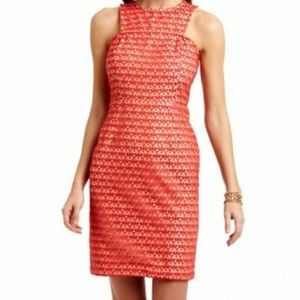 Gabby Skye | Dress | 8